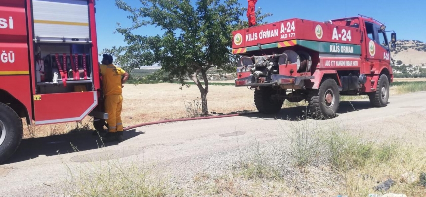 Kilis'te çıkan orman yangını söndürüldü