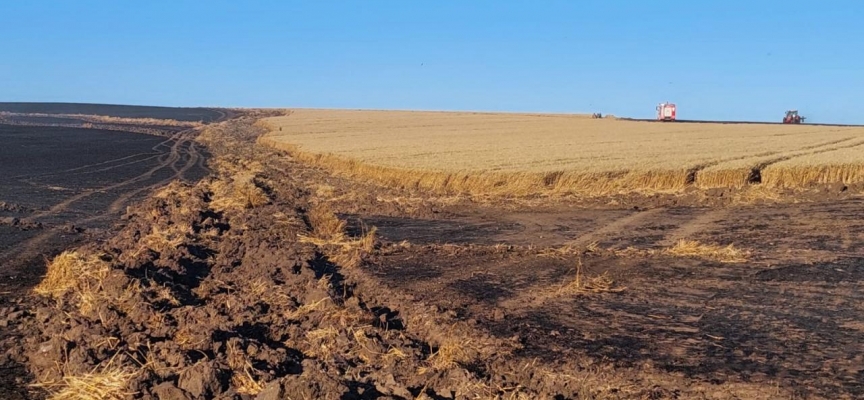 Tekirdağ'da bin dönüm tarım alanı yandı