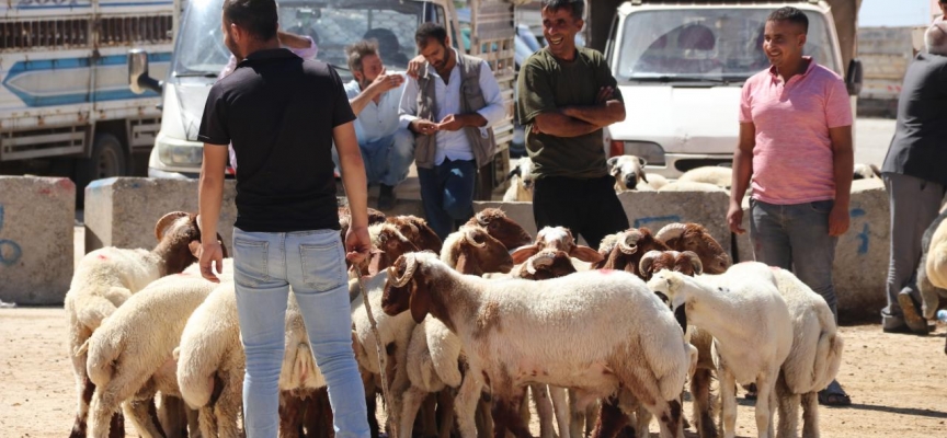 Şanlıurfa'daki hayvan pazarlarında hareketlilik