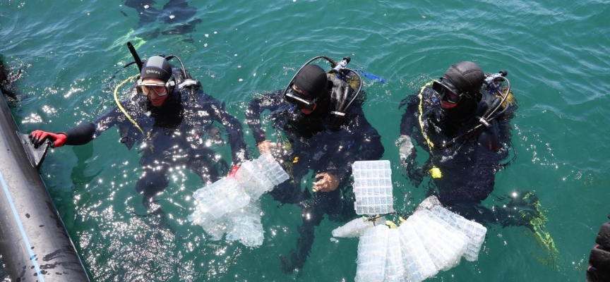 Çanakkale’de 300 yavru ıstakoz denize bırakıldı