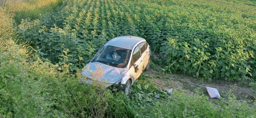 Tokat'ta tarlaya devrilen otomobildeki 4 kişi yaralandı