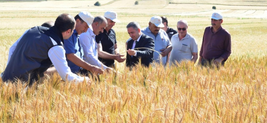 Kırşehir'de "Tarla Günü" etkinliği düzenlendi