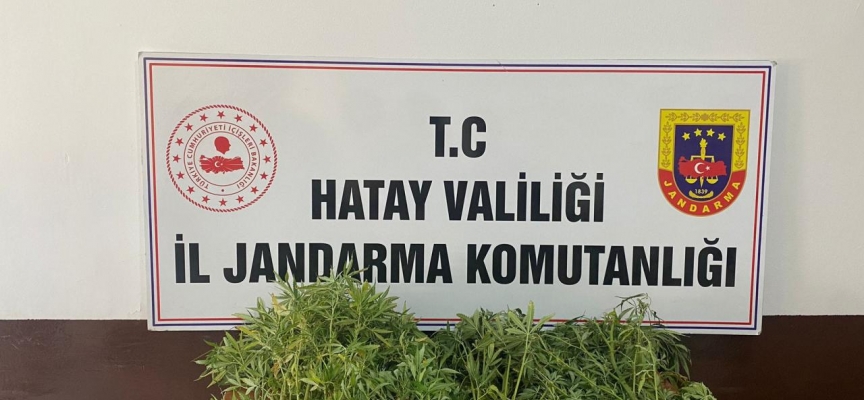 Hatay'da camilerden hırsızlık yapan zanlı tutuklandı