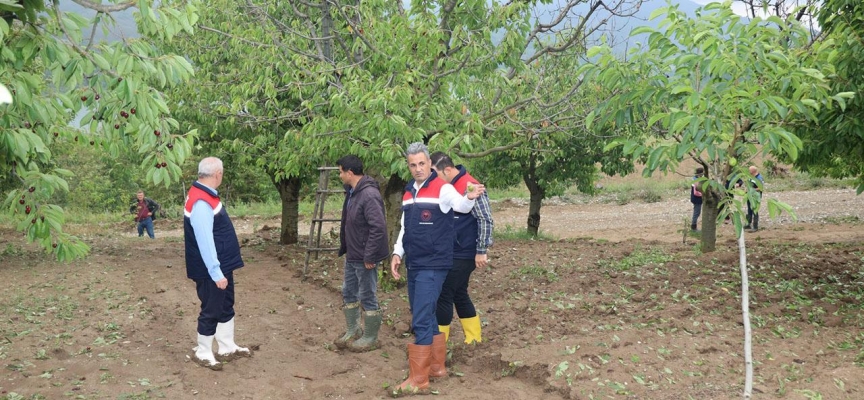 Bilecik'te aşırı yağıştan etkilenen arazilerde hasar tespitine başlandı