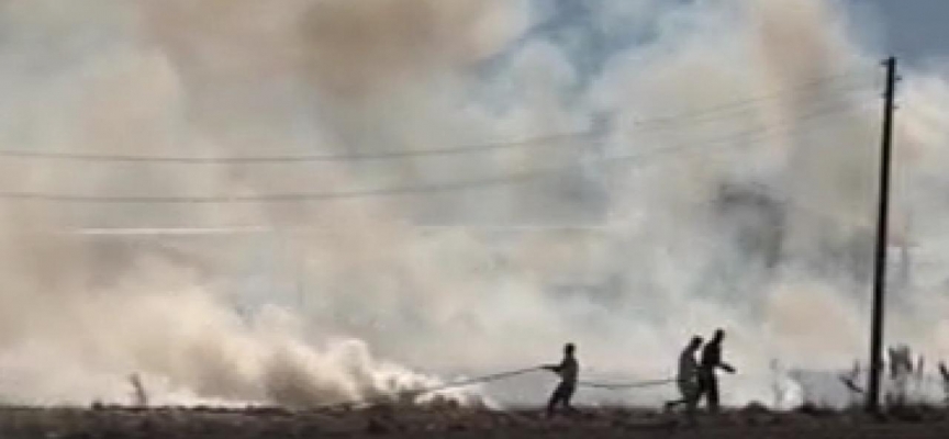 Burdur'da arpa tarlasında yangın