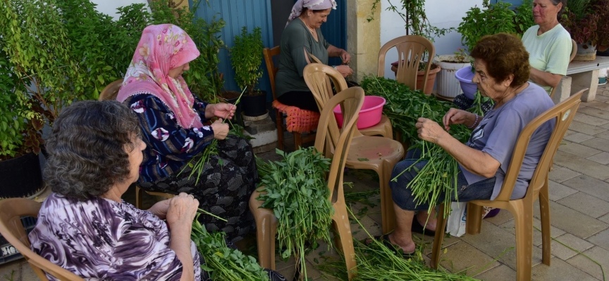 Molehiya ayıklamak yaz aylarının vazgeçilmezi