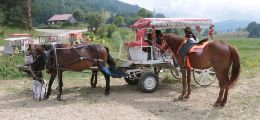 Abant Milli Parkı'nda at ve fayton faaliyetleri sonlandırıldı