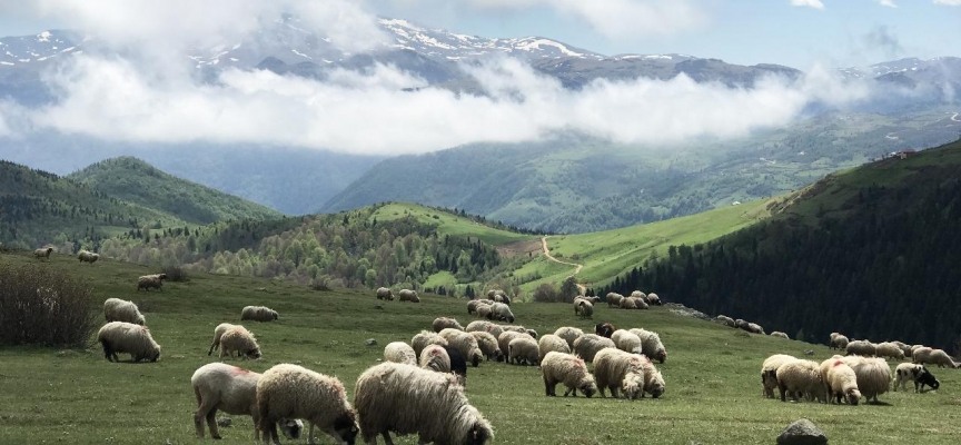 Turizmde yeni rota: Giresun