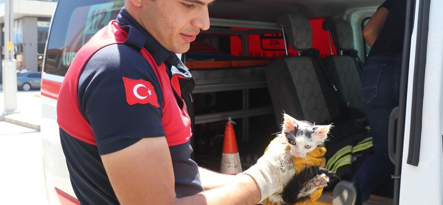 Otomobilin kapısına sıkışan kediyi itfaiye kurtardı