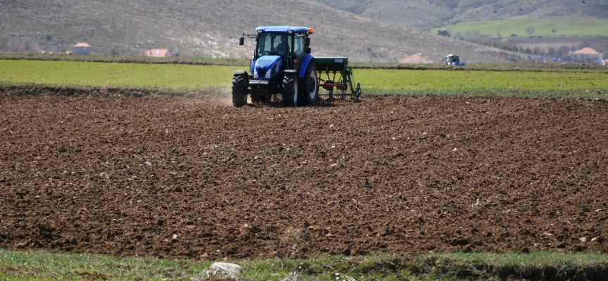 Tarımsal girdi fiyat endeksi mayısta arttı