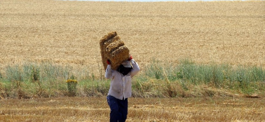 Yozgat'ta saman mesaisi başladı