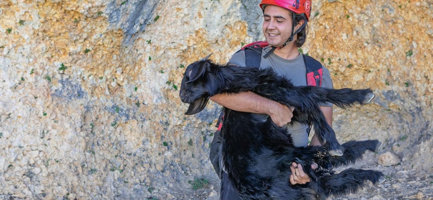 15 metrelik çukura düşen keçiyi itfaiye kurtardı