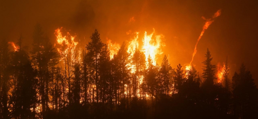 California yangınlarla boğuşuyor