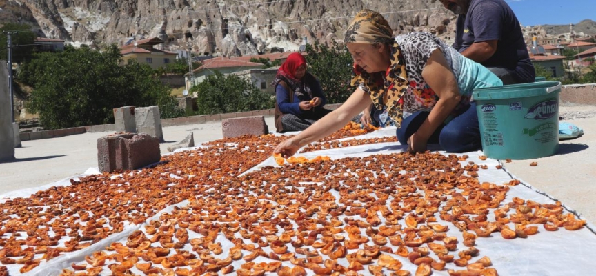 Kayseri'de damda kayısı kurutma telaşı başladı