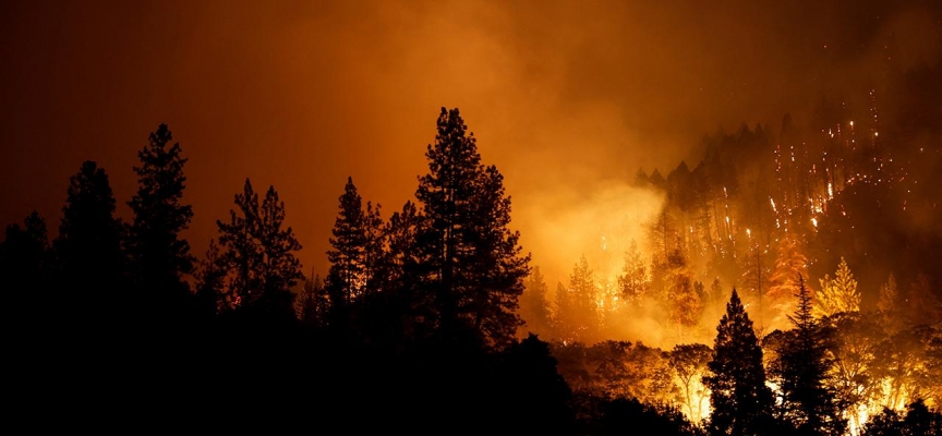 California yangınlarla boğuşuyor: Ölü sayısı 4'e yükseldi