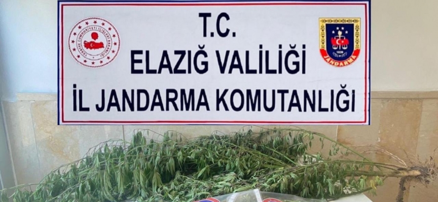 Elazığ’da varil içerisine zulalanmış kenevir ele geçirildi