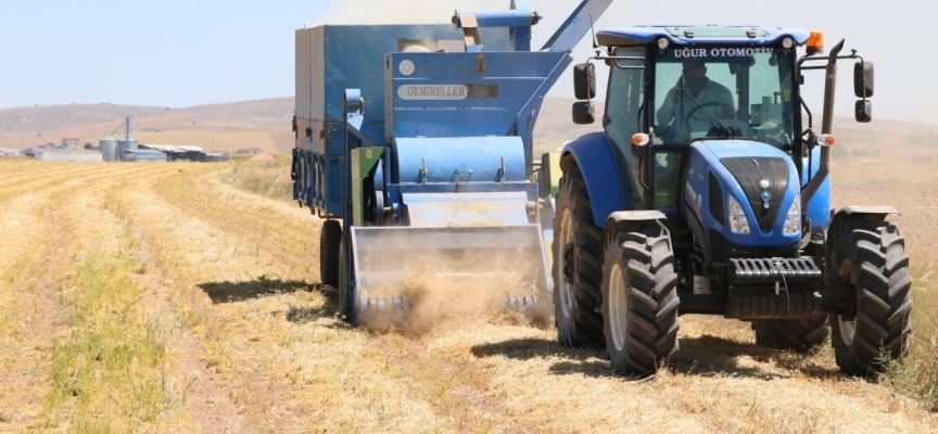 Yozgat'ta yeşil mercimekten 20 bin ton rekolte bekleniyor