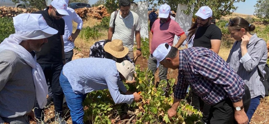 Şırnak'ta "Tarla Okulu" etkinliği yapıldı