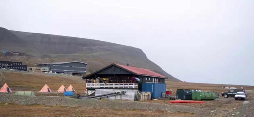 Norveç’te kampa girerek Fransız turisti yaralayan kutup ayısı öldürüldü