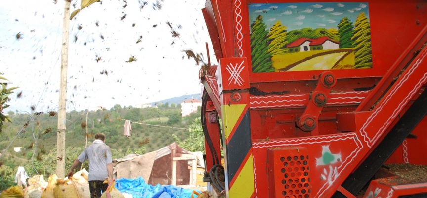 Ordu'da bazı mahallelerde patoz kullanımı yasaklandı