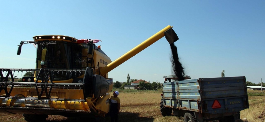 Uşak, çörek otunda 3500 ton rekolte bekliyor