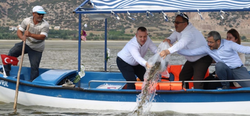 Işıklı Gölü'ne 300 bin sazan yavrusu bırakıldı