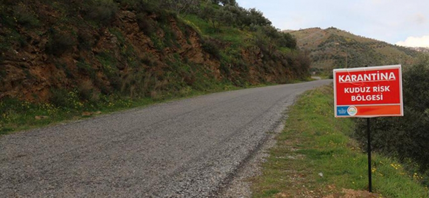 Tunceli'de bir köy kuduz karantinasına alındı