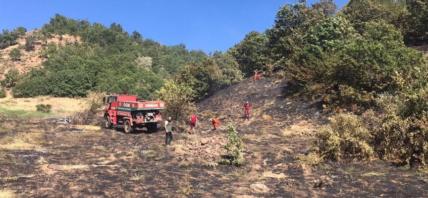 Bingöl'de çıkan orman yangını söndürüldü