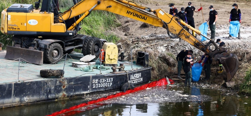 Polonya Oder Nehri'nden 100 ton ölü balık çıkardı