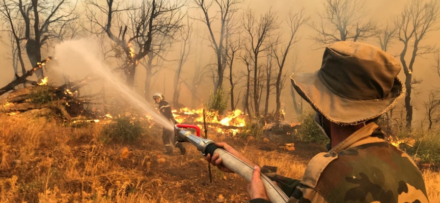 Cezayir’de 26 noktada orman yangını: 26 kişi öldü