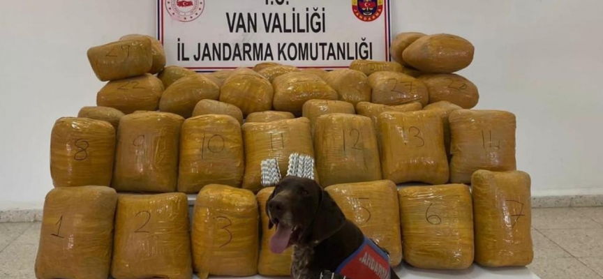 Kayalıklar arasında 200 kilo esrar bulundu