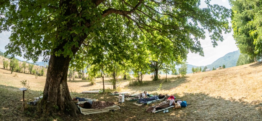 En çok yatan kazanıyor: En tembel kişi aranıyor