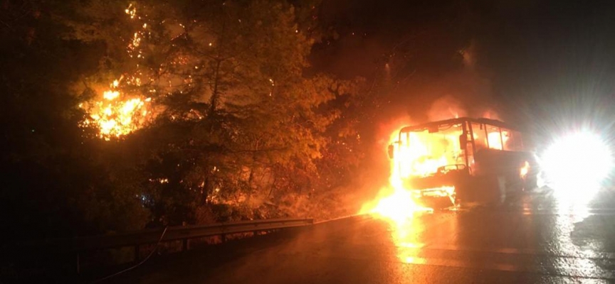 Muğla'da yolcu otobüsündeki yangın ormana sıçradı