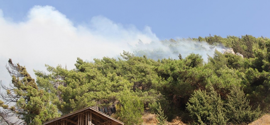 Hatay'da çıkan orman yangını söndürüldü