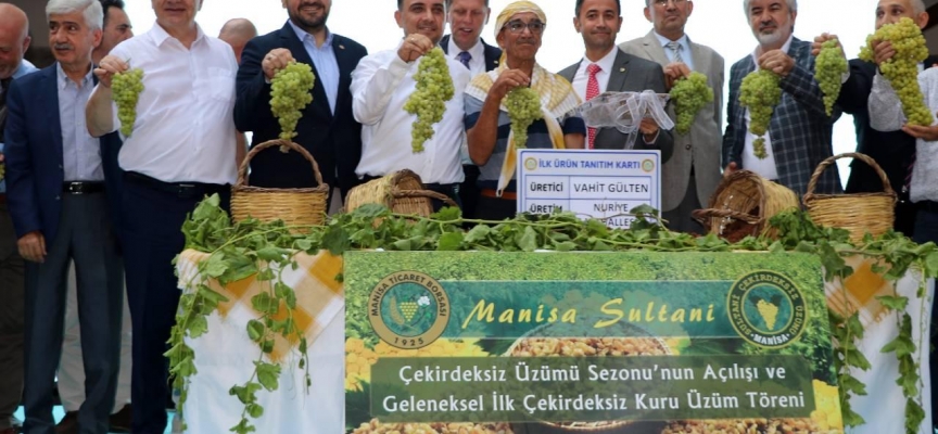 Manisa'da sezonun ilk çekirdeksiz kuru üzümü borsaya geldi