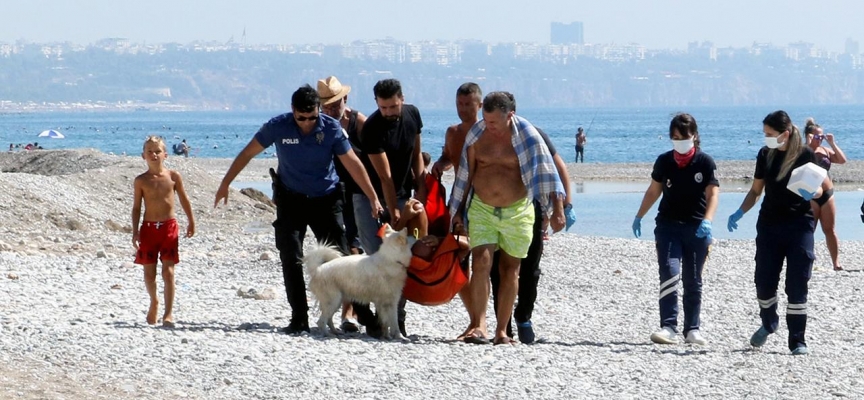 Kaçırılmak istenen köpek, sahibi bıçaklanınca başından ayrılmadı