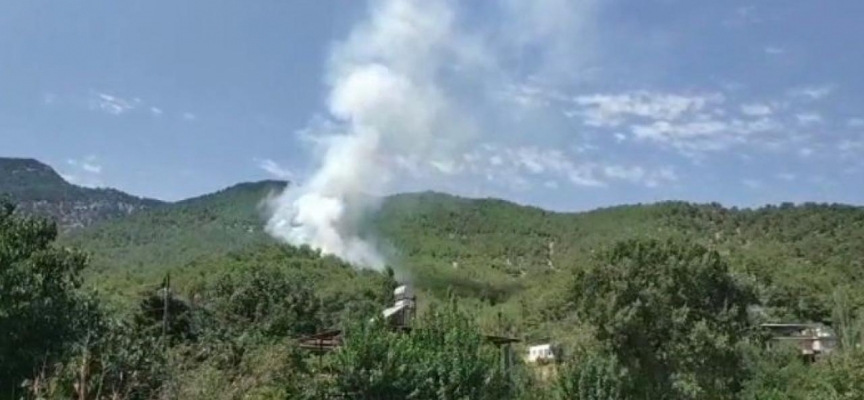 Hatay'da orman yangını: Müdahale ediliyor