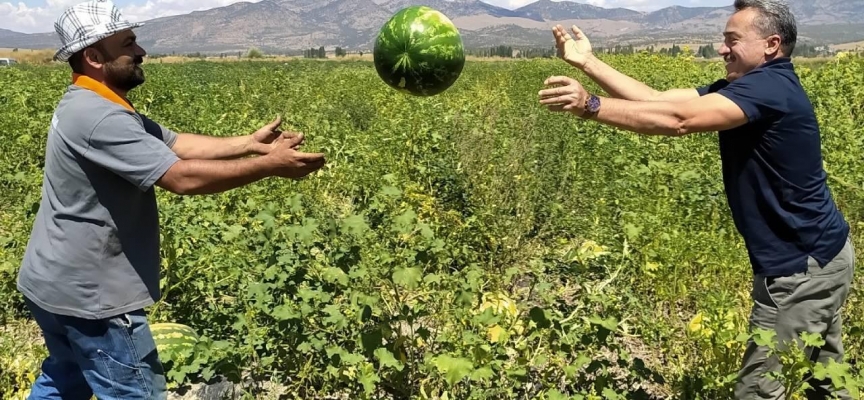 Seydişehir karpuzu ihraç ediliyor