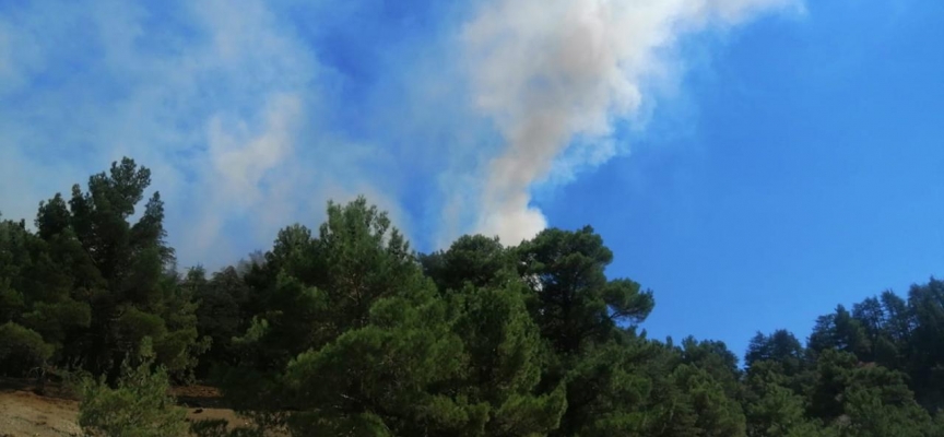 Antalya'da orman yangını: Havadan ve karadan müdahale ediliyor