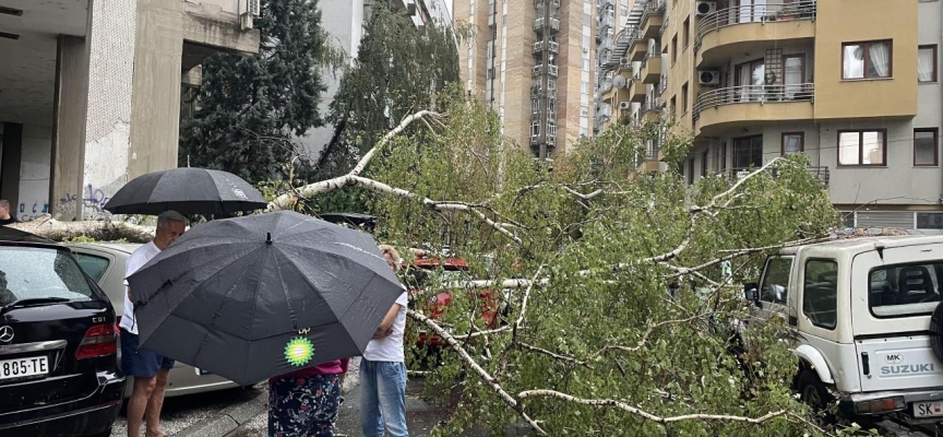 Üsküp’te rüzgar ve şiddetli yağmur hayatı olumsuz etkiledi