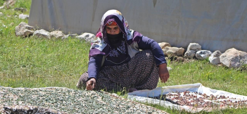 Erzincanlı göçerlerin yayla hayatı