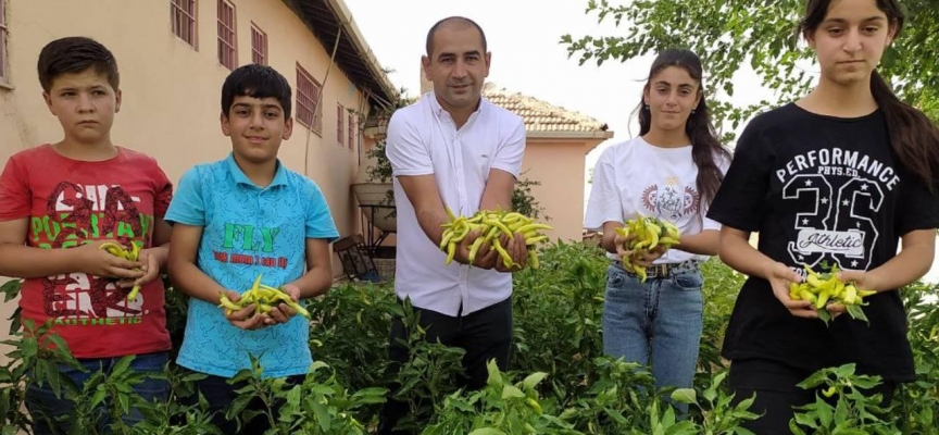 Okul bahçesinde yetiştirilen sebzeler ihtiyaç sahiplerine dağıtılıyor