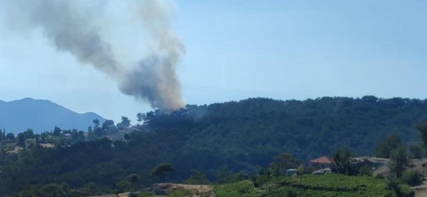 Kaş'ta ormanlık alanda yangın