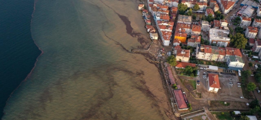 Bursa'da denizin rengi değişti