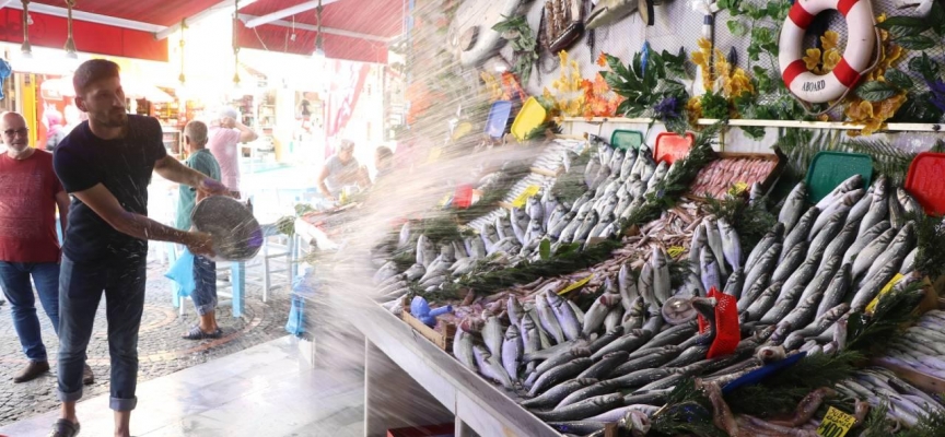 Balıkçı tezgahları yeni sezonun ilk balıklarıyla çeşitlendi