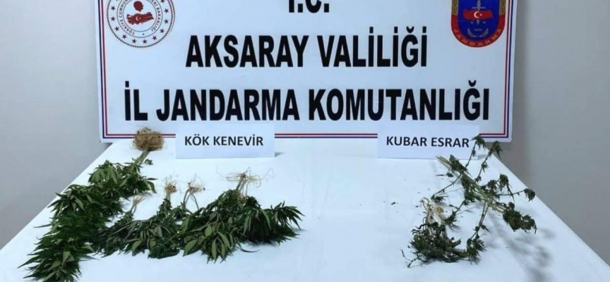 Aksaray'da 2 köyde uyuşturucu operasyonu