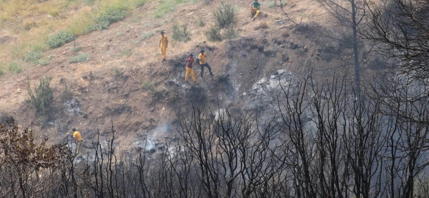 Hatay'da makilik alanda çıkan yangın söndürüldü