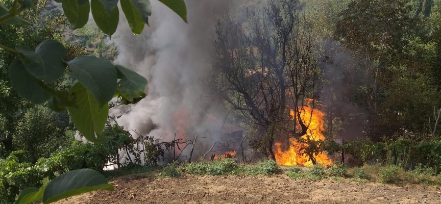 Adana'da yerleşim yeri yakınında çıkan orman yangını söndürüldü