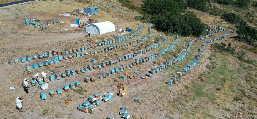 Muş'un yaylalarında arıcılık yapan karı koca, mesleğin zorluklarını da birlikte aşıyor