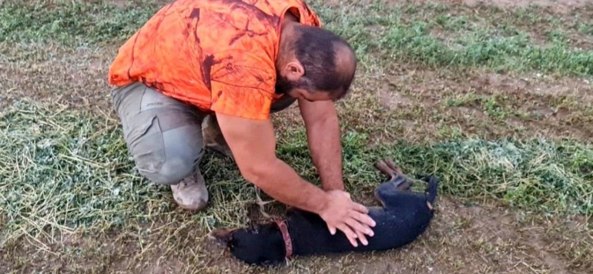 Avcı can dostunu köpeğini kalp masajı yaparak hayata döndürdü